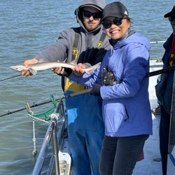 New Rayann Sportfishing - Shark!