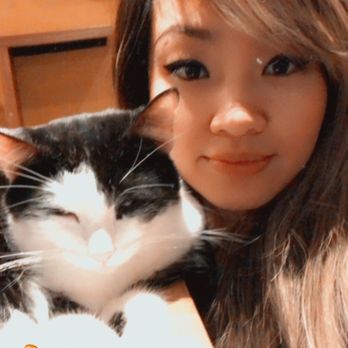 Seattle Meowtropolitan - Themed Cafes Near Me - Seattle, Washington