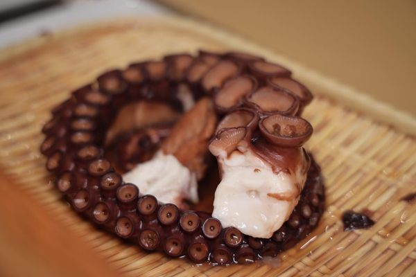 Omakase Experience Charlotte by null