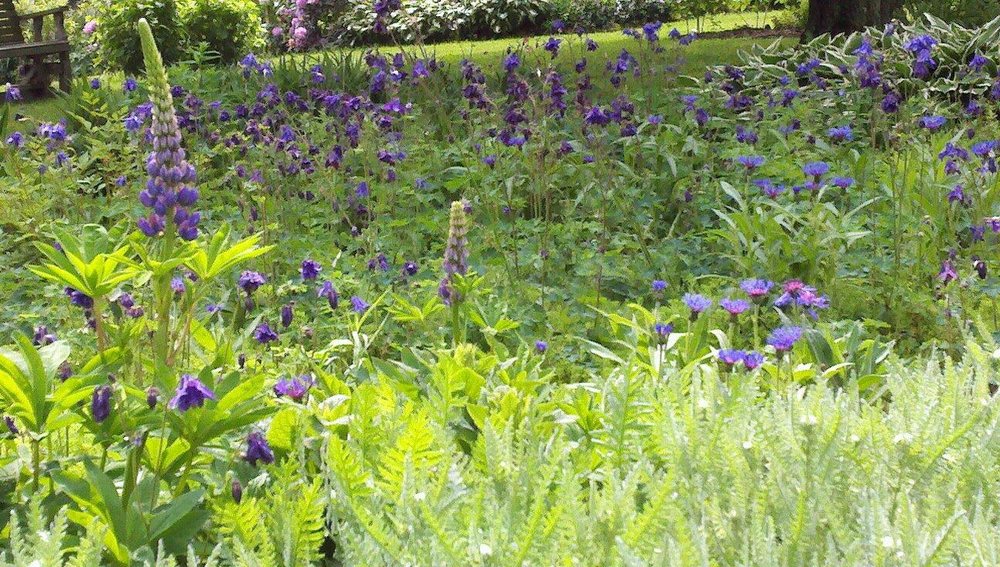 Sharis Berries & Garden - beekeeping in Hiram, OH