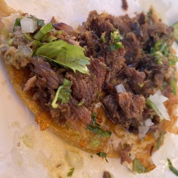 Paprika ATX - Quesita with brisket, onions, cilantro - Tacos Near Me - Austin, Texas Paprika ATX - Quesita with brisket, onions, cilantro - Tacos Near Me - Austin, Texas