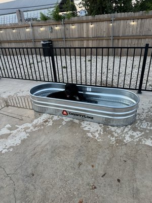 BARk House Social by null