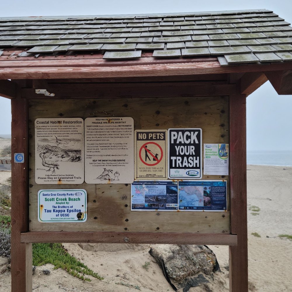 Scott Creek Beach - Beaches Near Me - Davenport, California