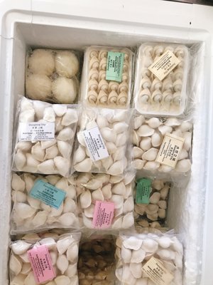 Dumpling City by null