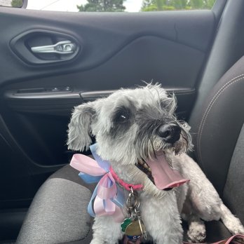 All Star Pet Grooming - Pet Groomers Near Me - St. Charles, Illinois All Star Pet Grooming - Pet Groomers Near Me - St. Charles, Illinois