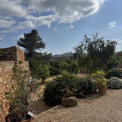 La Paloma