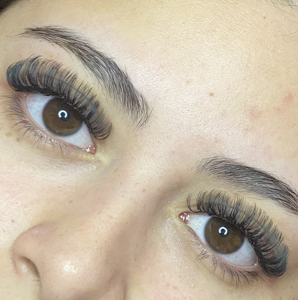 Dominique Lashes Logo