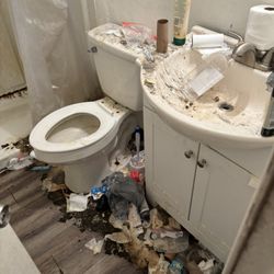 Patricia’s Magical Solutions - Before pic of bathroom
