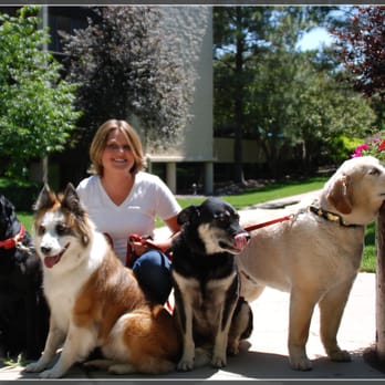 Happy Tails - Walking dogs - Dog Walkers Near Me Happy Tails - Walking dogs - Dog Walkers Near Me