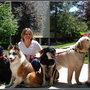 Photo of Happy Tails