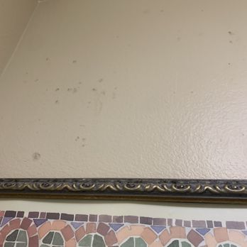 Baymont by Wyndham Provo River - Mold on wall - Hotels Near Me - Provo, Utah