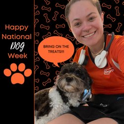 Organize It SWFL - It's National Dog Week!
From September 20th - 27th
It's time to show our furry companions how much we appreciate them.