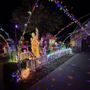 Photo of Winter Wonderland Christmas Light Show