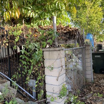 Junk Stars Removal - Plants, trash, Wood, and general junk. - Junk Removal & Hauling Near Me