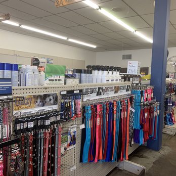 Swaim's Veterinary Clinic - Leashes and collars - Veterinarians Near Me - Oklahoma City, Oklahoma Swaim's Veterinary Clinic - Leashes and collars - Veterinarians Near Me - Oklahoma City, Oklahoma