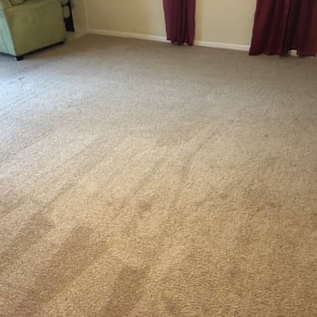 Deep Steam Carpet Cleaning - Brand new carpet ! - Carpet Cleaning Near Me - Tampa, Florida Deep Steam Carpet Cleaning - Brand new carpet ! - Carpet Cleaning Near Me - Tampa, Florida