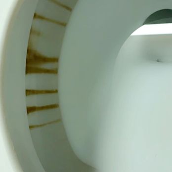Edgewater - Dirty Toilet! Unacceptable! - Hotels Near Me - Laughlin, Nevada Edgewater - Dirty Toilet! Unacceptable! - Hotels Near Me - Laughlin, Nevada