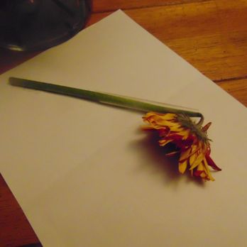 Miracle Flowers - dahlia was dead and not standing up - Florists Near Me - Folsom, California Miracle Flowers - dahlia was dead and not standing up - Florists Near Me - Folsom, California