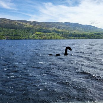 Gray Line Tours - Tours Near Me - Edinburgh, EDH