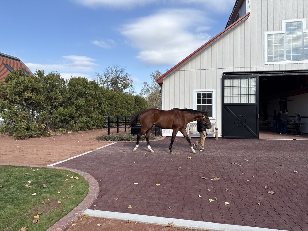 Gainesway - equestrian in Lexington, KY