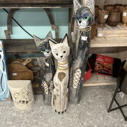More fun cats