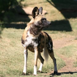 Rolling Hills Zoo