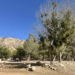Frandy Park Campground - Camping spaces with plenty of trees and views