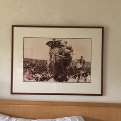 Don the Framer - Poor representations, but they look GREAT!