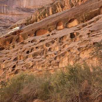 Capitol Reef National Park - Tafoni - holes in the sandstone  09-23-2025 - Parks Near Me - Fruita, Utah