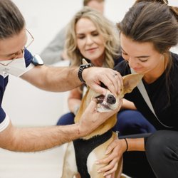 Petfolk Veterinary & Urgent Care - North Hills