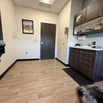 Hendricks Veterinary Hospital - Exam room - Veterinarians Near Me - Boise, Idaho Hendricks Veterinary Hospital - Exam room - Veterinarians Near Me - Boise, Idaho
