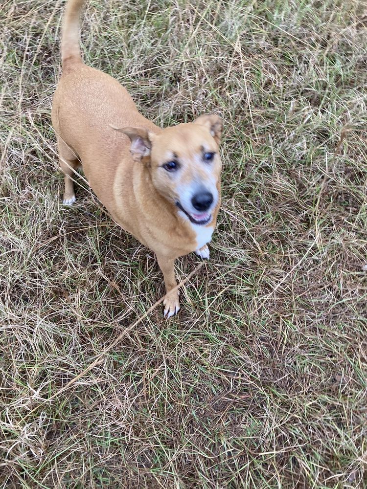 REHM ANIMAL CLINIC HILLCREST Updated October 2024 32 Photos & 31