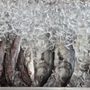 Photo of Jim's Seafood