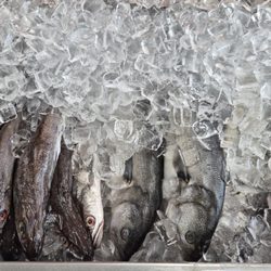 Jim's Seafood