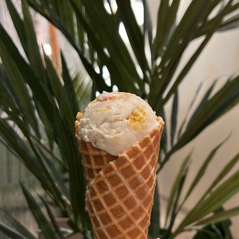 Sampaguita - Ice Cream & Frozen Yogurt Near Me - Orlando, Florida Sampaguita - Ice Cream & Frozen Yogurt Near Me - Orlando, Florida