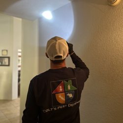 Colt's Pest Defense - Termite Inspection