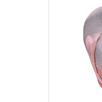 Cranial Technologies - Medical Centers Near Me - Orange, California