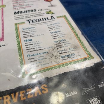 Cactus Cafe - Moldy menu - Breakfast & Brunch Near Me - Huntington, New York