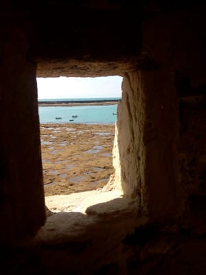 Castillo de Santa Catalina by null