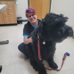 Woodley Gardens Veterinary Care - Duke during his recent visit sits on  Dr. Nicholson lap.