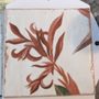 Photo of Tiles Direct