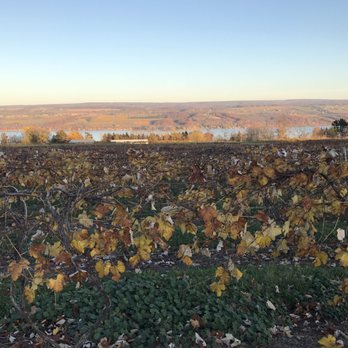 Glenora Wine Cellars - Wineries Near Me - Dundee, New York