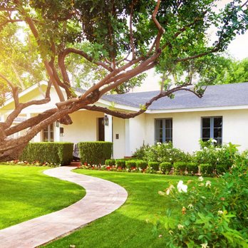 Ranger Tree Service - Www.rangertreeservicesa.com - Tree Services Near Me Ranger Tree Service - Www.rangertreeservicesa.com - Tree Services Near Me