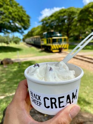 Hawaiian Railway Society by null