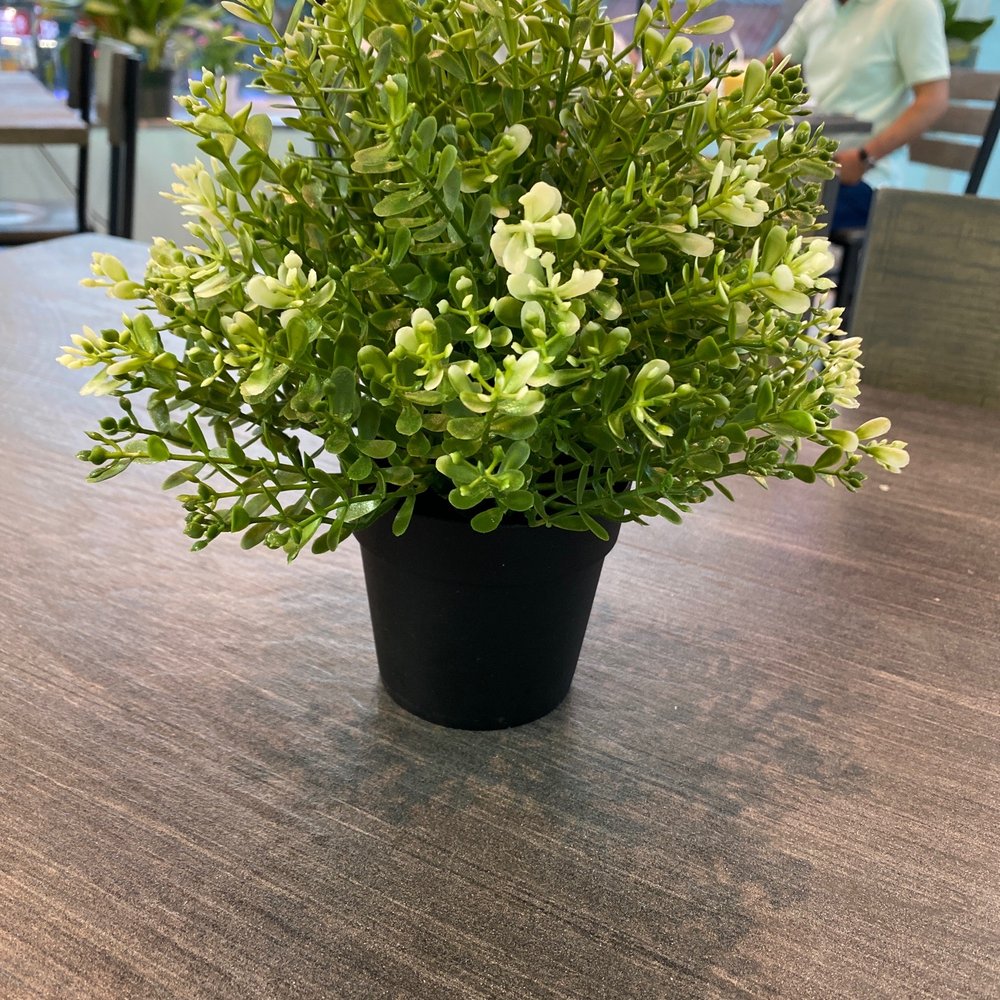 Jlc Watches New York, NY - Last Updated January 2026 - Yelp, image size:1000x1000