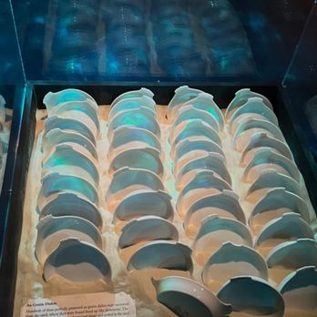 Titanic - Dishes found at the bottom of the ocean floor - Museums Near Me - Las Vegas, Nevada