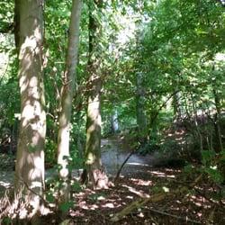Bois De Dieleghem
