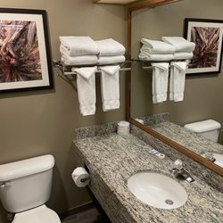 Gray Wolf Inn & Suites - The vanity and pot