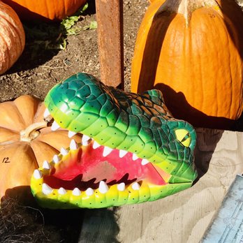Post Street Farm - Pumpkin Patches Near Me - Santa Cruz, California