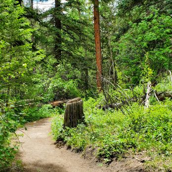 Forsythe Canyon Trailhead - Hiking Near Me - Nederland, Colorado Forsythe Canyon Trailhead - Hiking Near Me - Nederland, Colorado